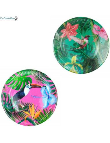 12-grandes-assiettes-oiseau-tropical